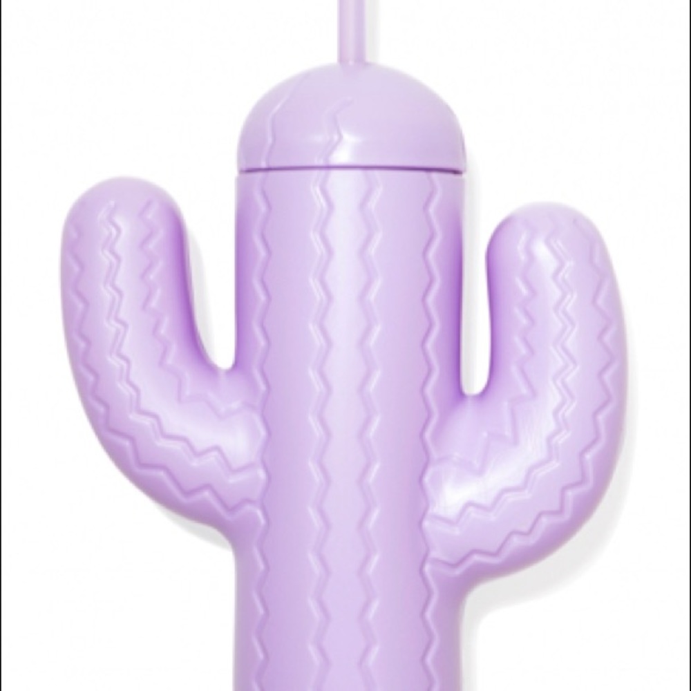 NIB Cactus Straw Cup